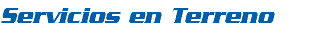 Servicios en Terreno